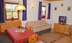 Appartement 1 Wohnraum