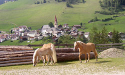 Appartements Vilahof Enneberg Berge Kronplatz Pustertal Dolomiten Südtirol Sommer Ferien Wohnungen Ferienwohnungen Wandern Naturpark Unterkunft Winter Ski Skifahren