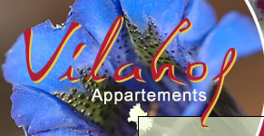 Appartements Vilahof Enneberg Berge Kronplatz Pustertal Dolomiten Südtirol Sommer Ferien Wohnungen Ferienwohnungen Wandern Naturpark Unterkunft Winter Ski Skifahren